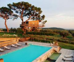 Vista della casa sull'albero e della piscina dell'agriturismo La Piantata