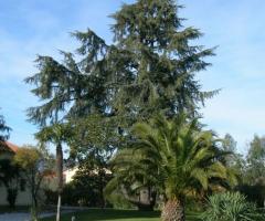 Il giardino della villa - Villa Pratola