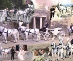 Noleggio carrozze