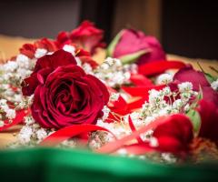 Ex Animo - Particolari..