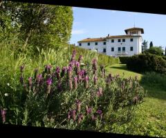 Vista della villa per il matrimonio