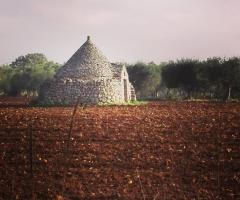 La Grande Quercia - Trullo pugliese