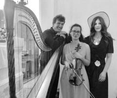 Violino e arpa - Serena Zucco