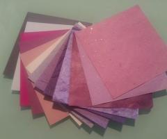 Il Mondo di Alice - Biglietti e Menù