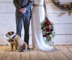 Pet Sister - La foto con gli sposi