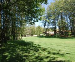 La Torretta - Bosco che circonda la location