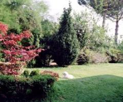 Agriturismo Cavendo Tutus - Il giardino del casale