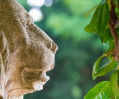 Villa Incontri Eventi - Il leone grande