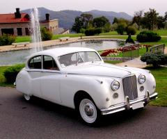 Lady Event by Baoli Terzi - Il noleggio auto di classe a Milano