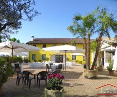 Cascina dal Pozzo - Gli ampi spazi all'aperto