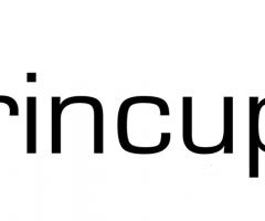 Brincup - Intrattenimento e animazione per il matrimonio a Sassari