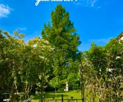 Baldino Ristorante - Vista giardino