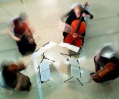 Gruppo di musicisti per la musica durante la cerimonia nuziale