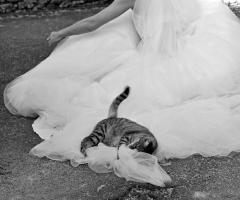 Montefioralle Greve in Chianti