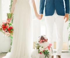 Pet Sister - Servizi di dog sitter per il tuo matrimonio