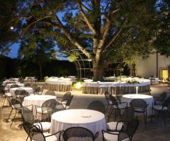 Aperitivo pino ultra secolare