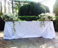 Vivaio Nicola Antonio Giraudi - Composizioni su tavolo consiliare con camomilla, gisophila, edera e begonia eliator