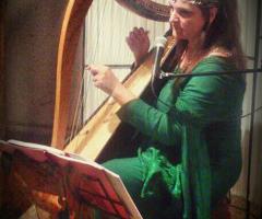 VoceDAnimA - Versione fata della musica...