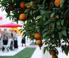 Masseria Traetta Exclusive - A contatto con la natura