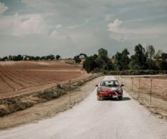 Attilio Perfetti - Grano