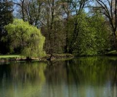 Laghetto della location per matrimoni