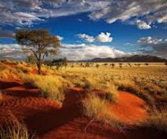 Silvia Mastrangelo - Viaggio di nozze in Namibia