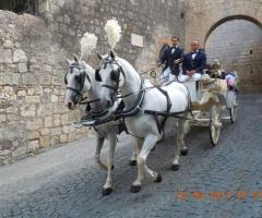 Gli sposi sulla carrozza trainata da due cavalli bianchi