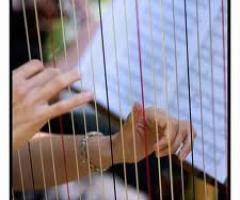 Musica di arpa per il matrimonio