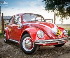 Noleggio maggiolino a Lucca - Maggiolino Settimino