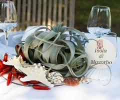 Composizione con pianta grassa