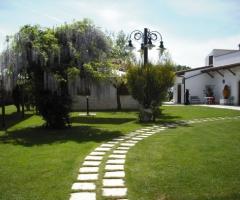 Masseria Protomastro - Viale d'ingresso
