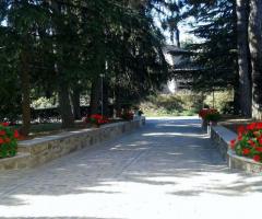 Villa Fabio - Il viale di ingresso visto dall'interno