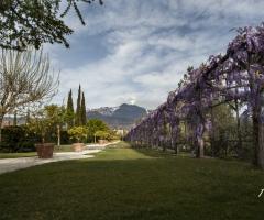 Giardino del glicine