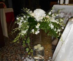 Il giardino di Venere