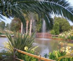 Laghetto per ricevimenti di matrimonio