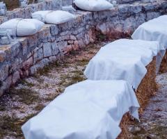 Elisabetta D'Ambrogio Wedding Planner - Allestimento per matrimonio all'aperto