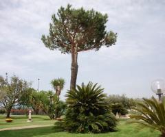 Il giardino della villa