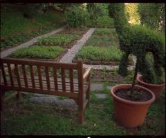 L'orto - Ristorante Pierino Penati