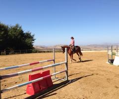 Il maneggio - Agriturismo Ridocco