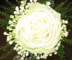 Bouquet glamelia: di rose bianche e stephanotis