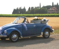 Il Maggiolone di Maurizio - Il fascino dei campi di grano