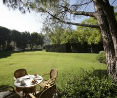 Parco con pini e ulivi secolari