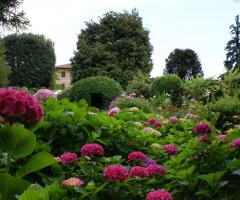 Parco della location di matrimonio