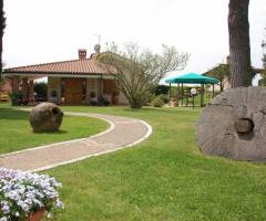 Viale d'ingresso e giardino della villa