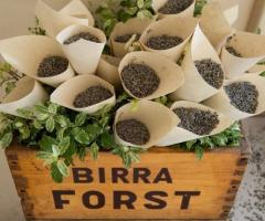 Lavanda come alternativa al riso da lanciare agli sposi - Riso e Sorriso Wedding-Event Planner