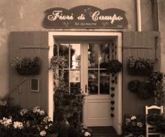 Entrata negozio - Fiori di Campo