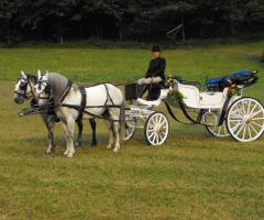 matrimonio carrozza d'epoca