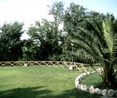 Organizzazione del matrimonio in giardino