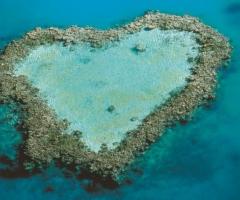 Viaggio di nozze in Australia - Touch & Go a Monte Porzio Catone (Roma)