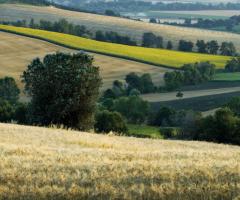 Agriturismo Ripabianca